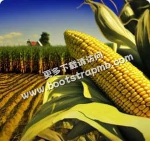全面覆盖，让您不错过任何一场精彩 - 2026世界杯